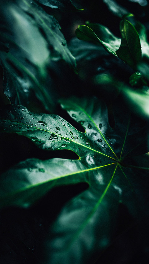 Raindrops (4) screenshot