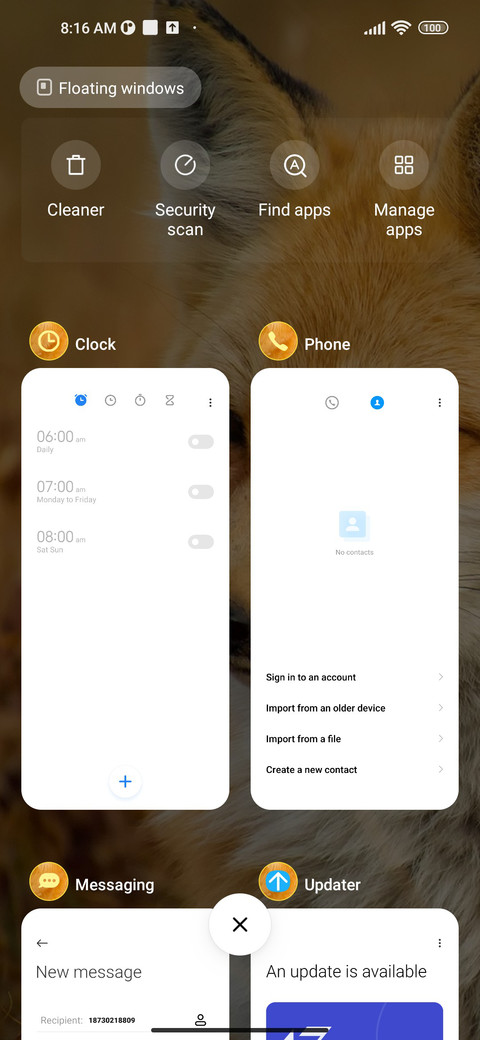 wildlife fox screenshot