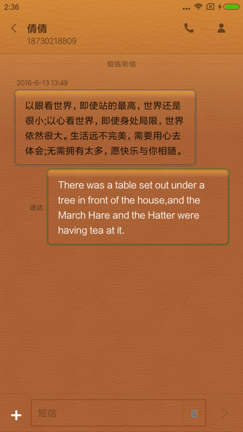 皮革记忆 screenshot