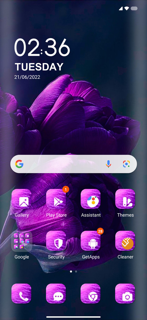 Purple Tulip screenshot