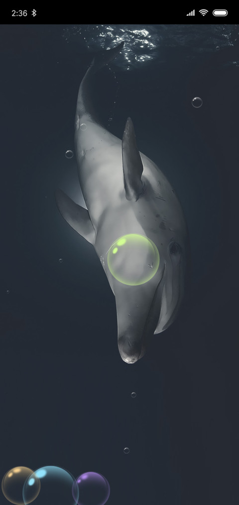 海豚的梦想 screenshot