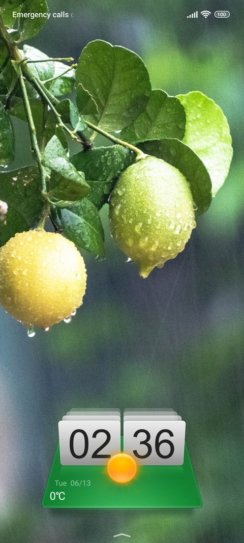 rain lemon screenshot