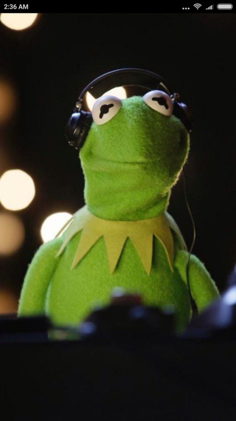 MrKermit T screenshot