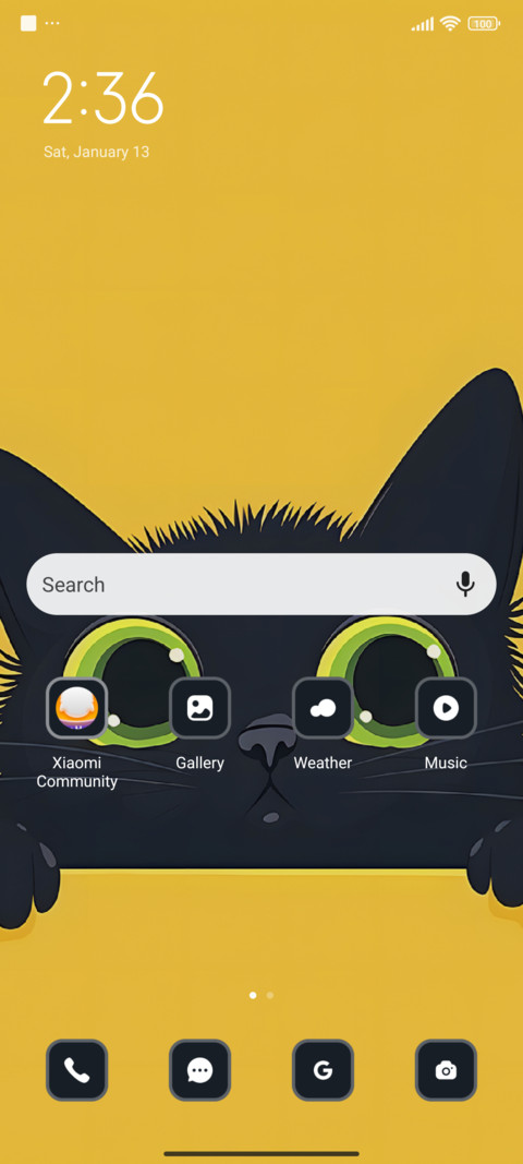 Cat screenshot