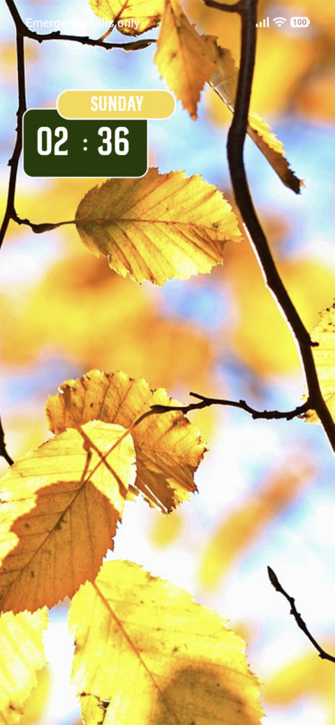 Leaves screenshot