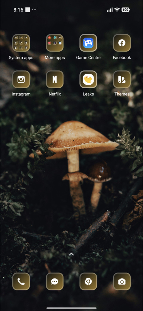 Fairy Msuhrooms screenshot