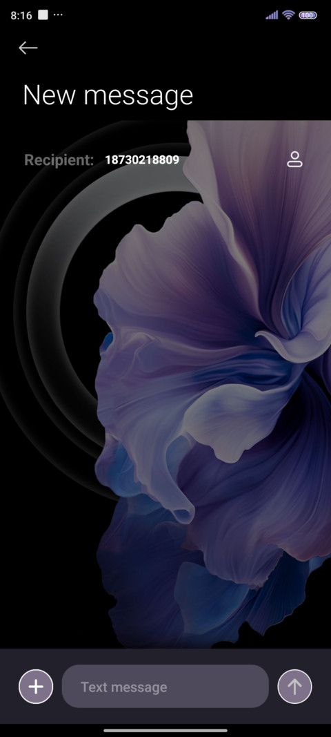 Violet love screenshot