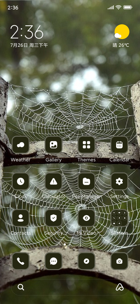 Spider Web screenshot