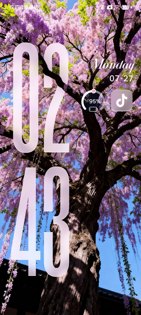 景深 花开有期 screenshot