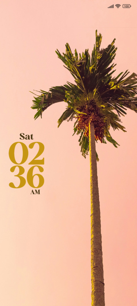 Palm Tree screenshot