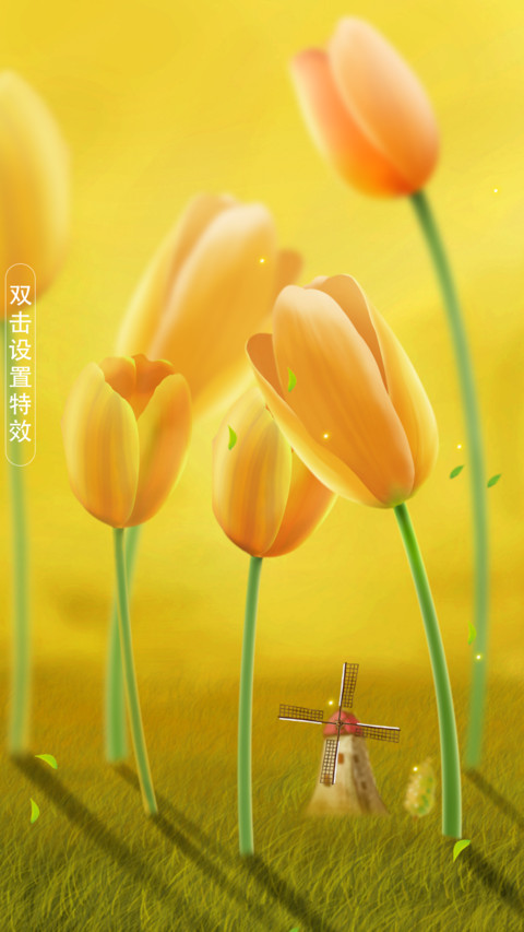 郁金香 screenshot