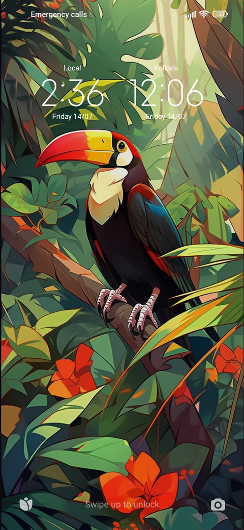 Flower Toucan screenshot