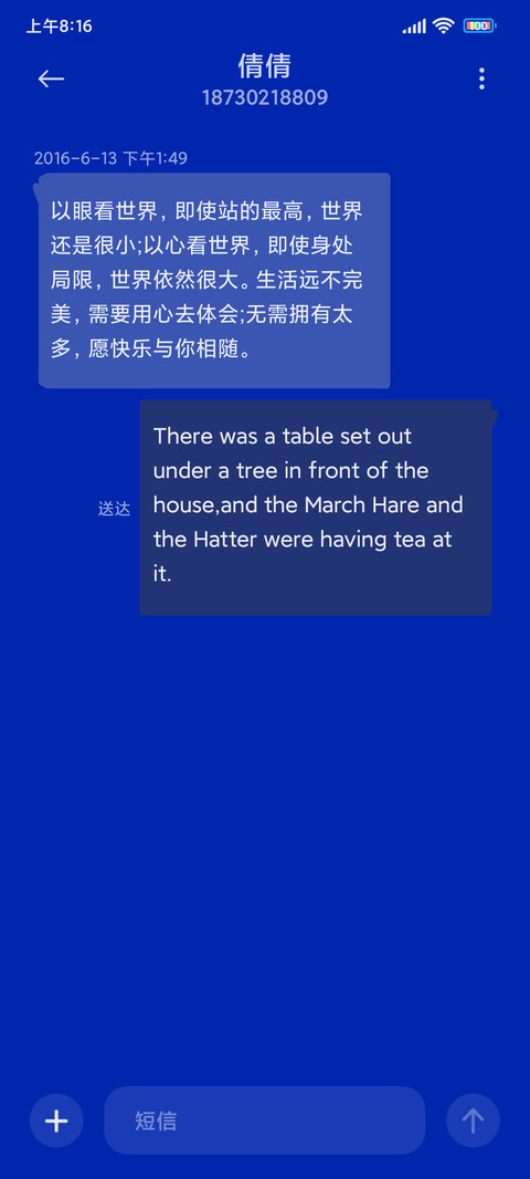 克莱因蓝 白花 screenshot
