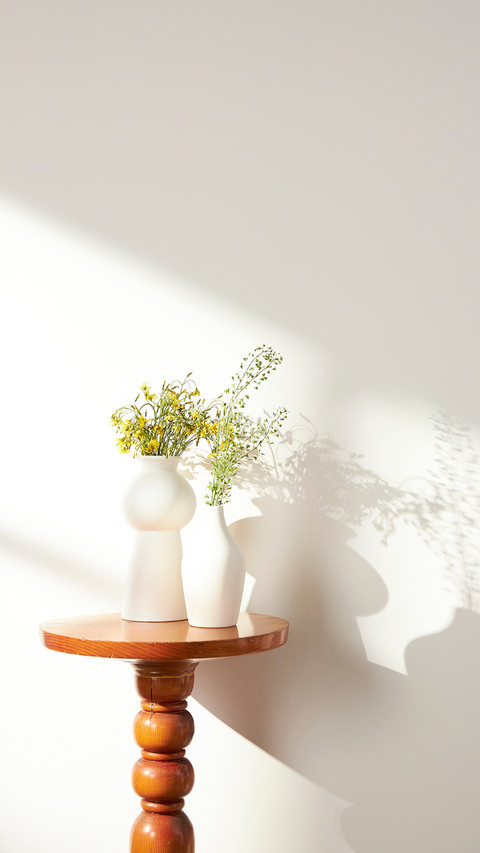 Vases and objects on table in warm, sunlit room screenshot
