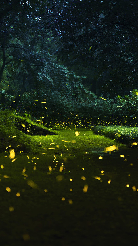 点点荧光 screenshot