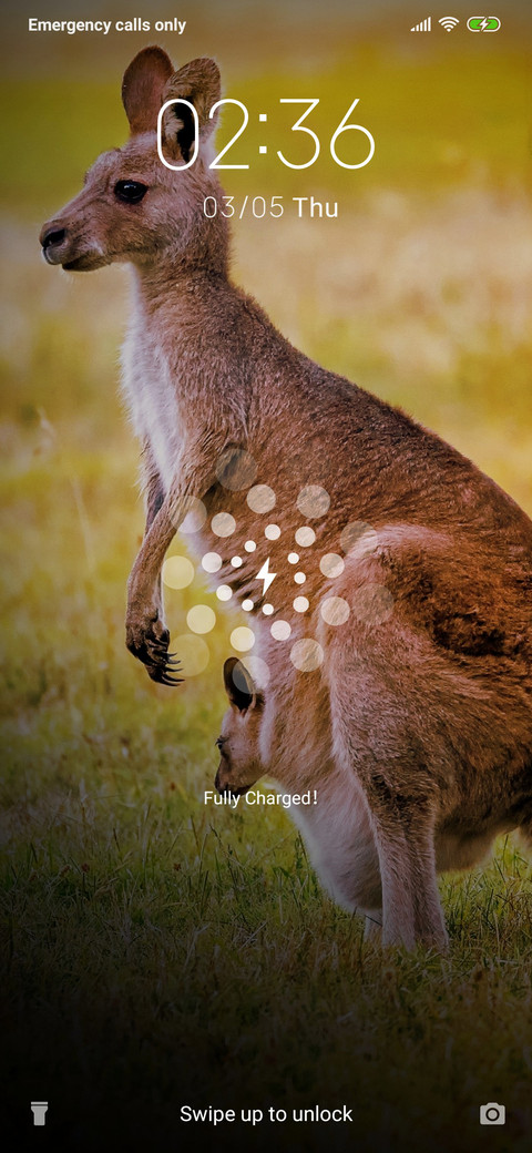 Kangaroo_3MDS screenshot