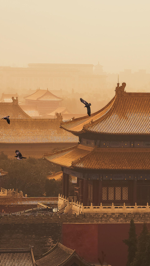 中国人自己的魔方 screenshot