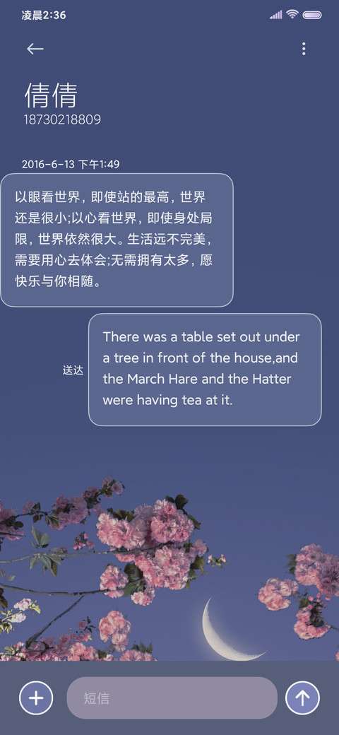 简约 夜樱 screenshot