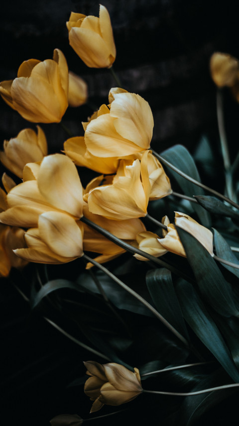 Spring (17) screenshot