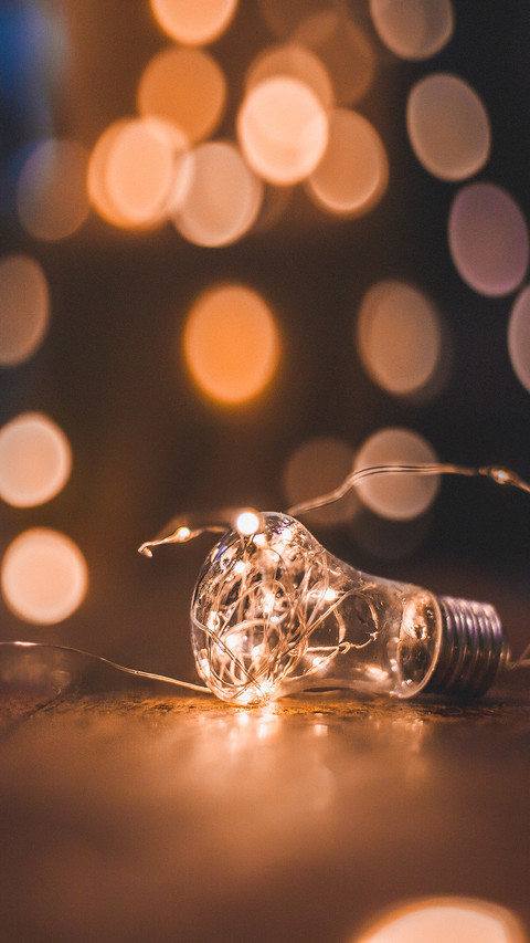 Light Bulbs with Nature screenshot