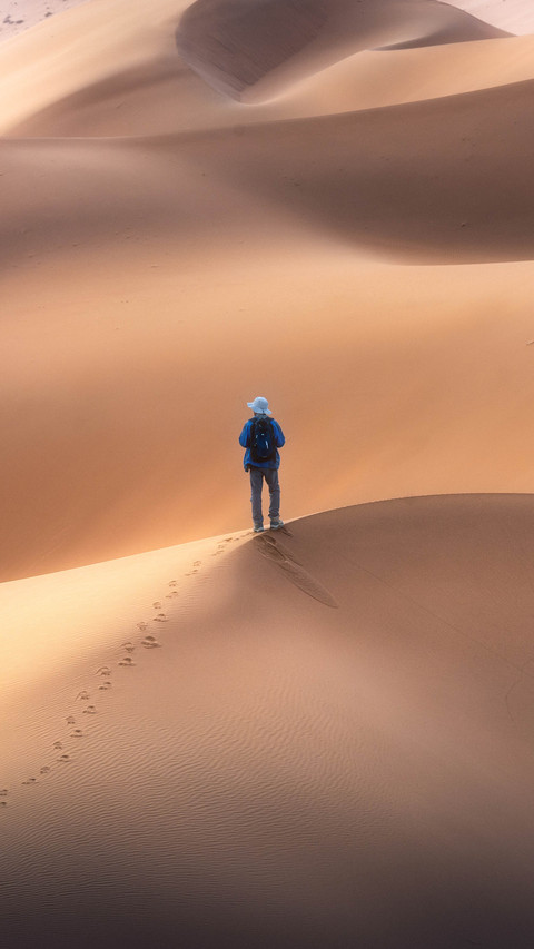 Desert traveler introduction 50 screenshot