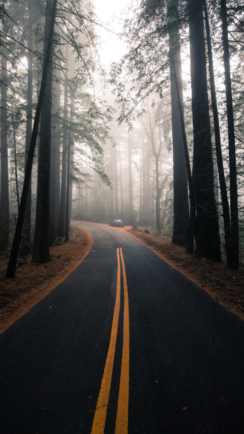 Road Trip (9) screenshot