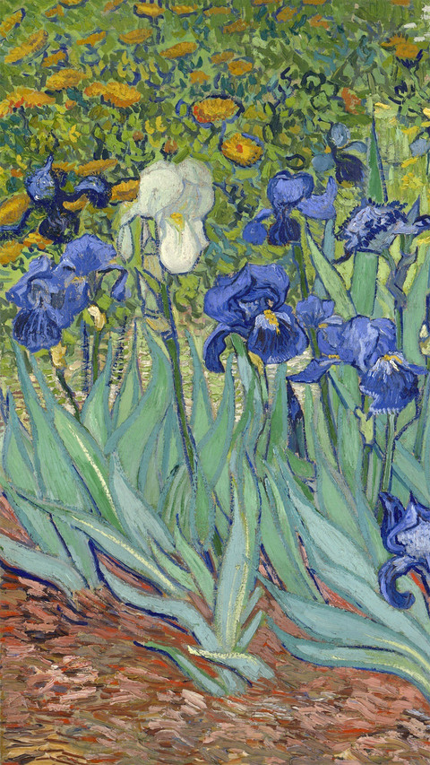 Irises, by Vincent Van Gogh, 1889 screenshot