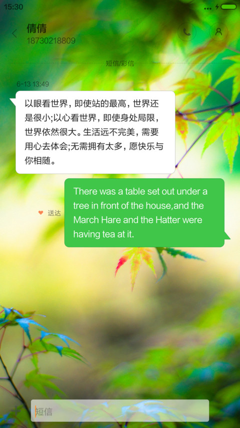 枫叶（好评送收费主题） screenshot