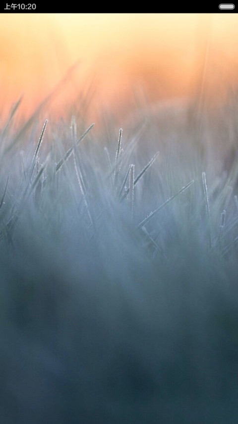 晨露 screenshot