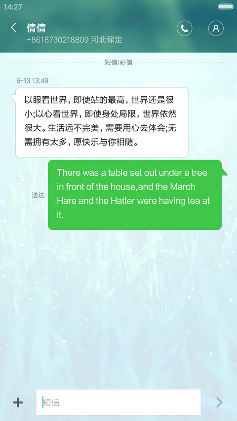 青草与露珠 绿色护眼 小清新 screenshot