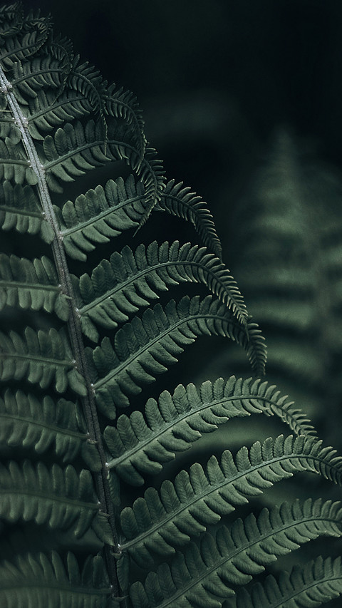 Natural beauty-PAIXIN screenshot