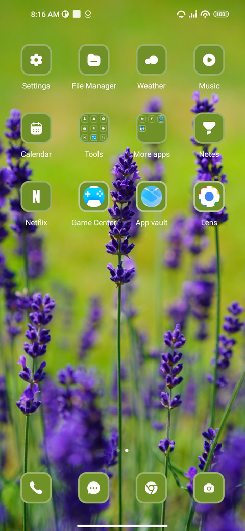 Field screenshot