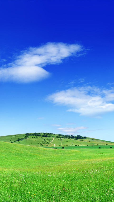 Green grass and blue sky screenshot
