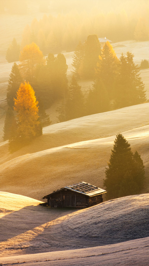 Autumn is here screenshot
