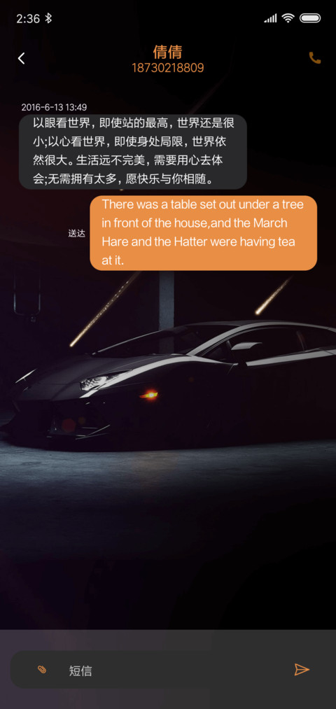 私人订制 保时捷PRO screenshot