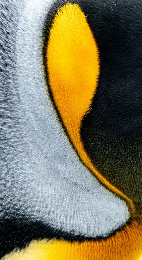 Vision HD (26) screenshot