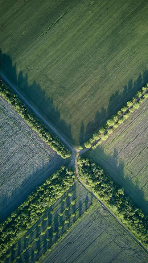 Beautiful view of the farmland screenshot