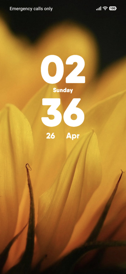 Sun Bloom screenshot