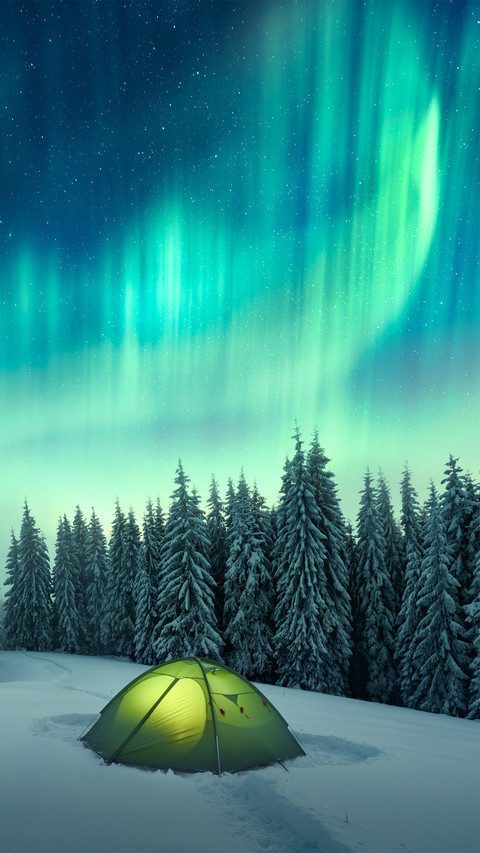 Camping Tent Set Up in The Snow screenshot