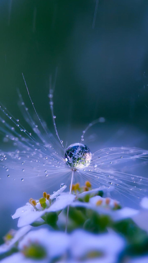 raindrops (3) screenshot