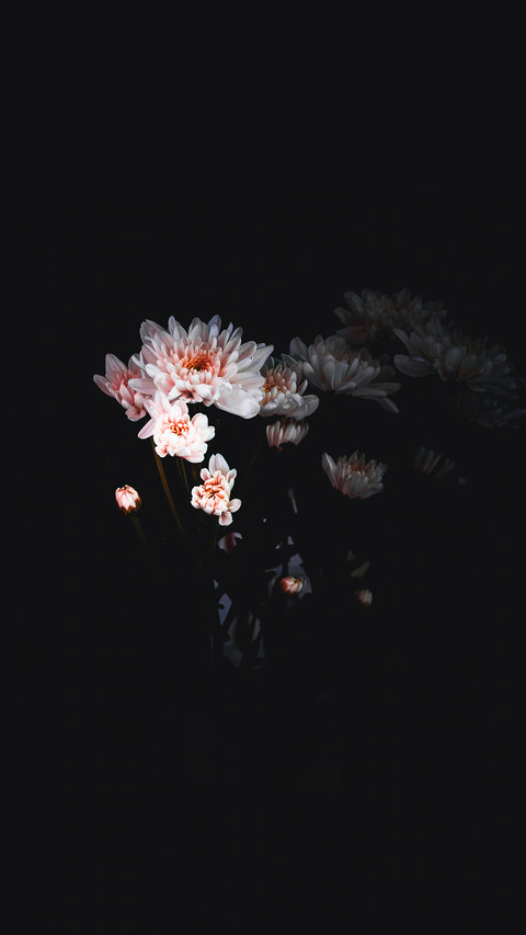 孤芳自赏 screenshot