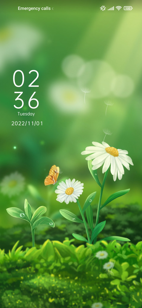 Daisy+flower screenshot