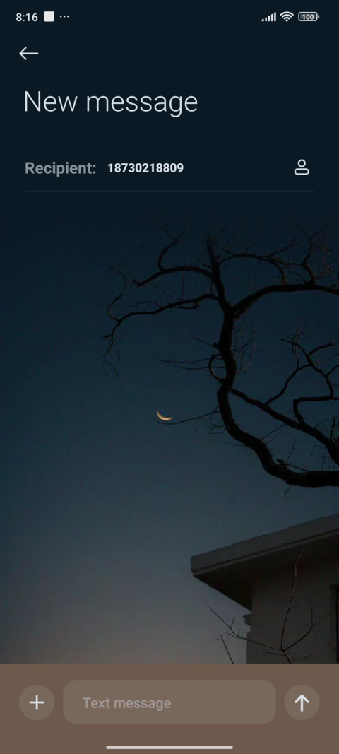 dead wood spring screenshot