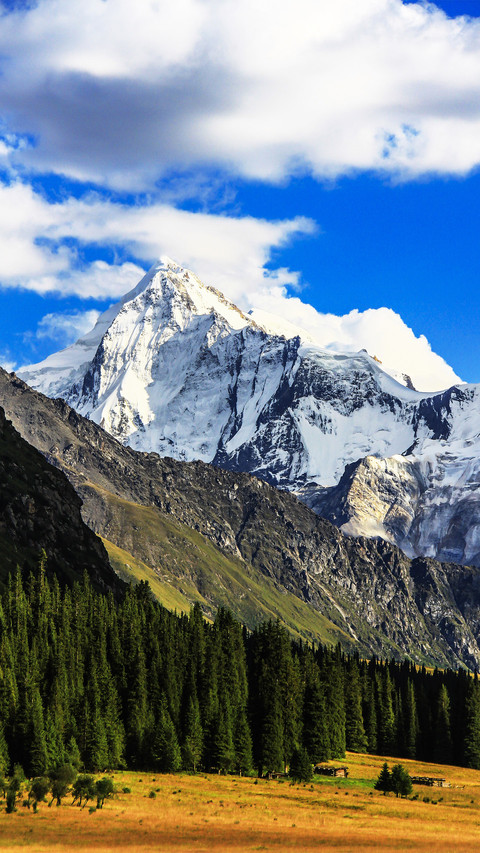 Go to Northwest China in autumn 2 screenshot