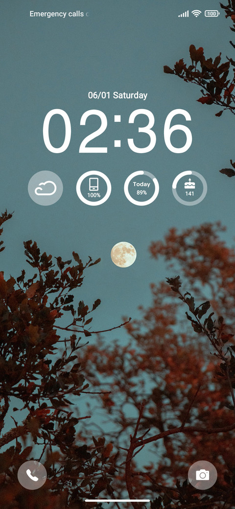 Moon and treetops screenshot