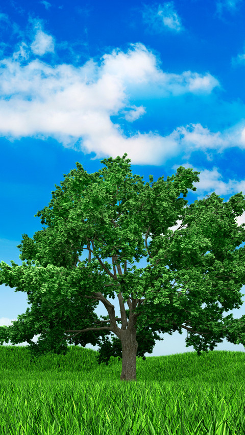 Green grass and blue sky screenshot