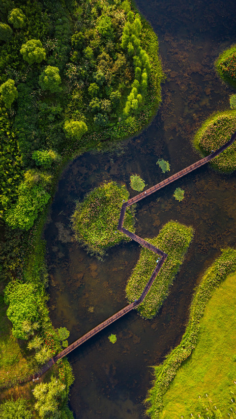 The wetland is bathed in the morning light with birds screenshot
