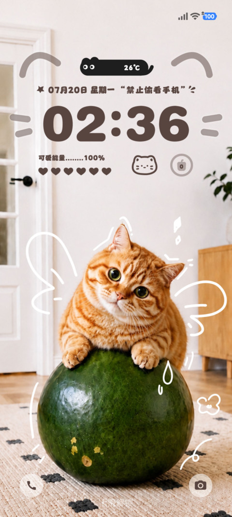OS 夏日冬瓜猫 screenshot