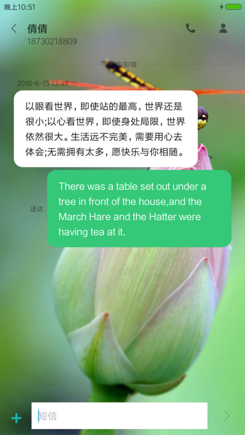 莲花净 screenshot