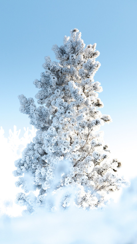 最美雪景地 screenshot